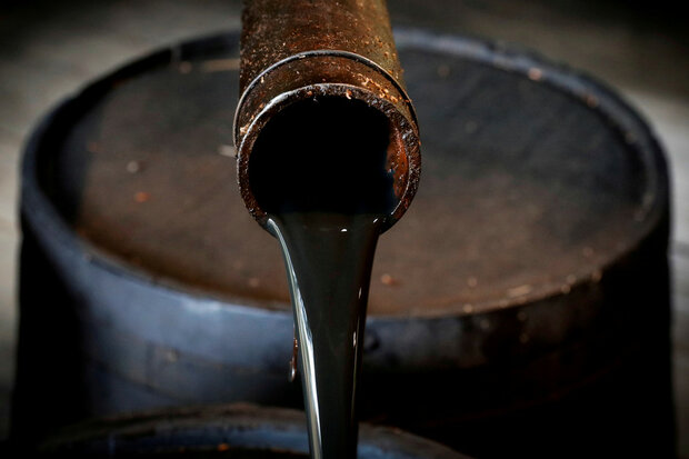 تداوم رشد قیمت نفت خام