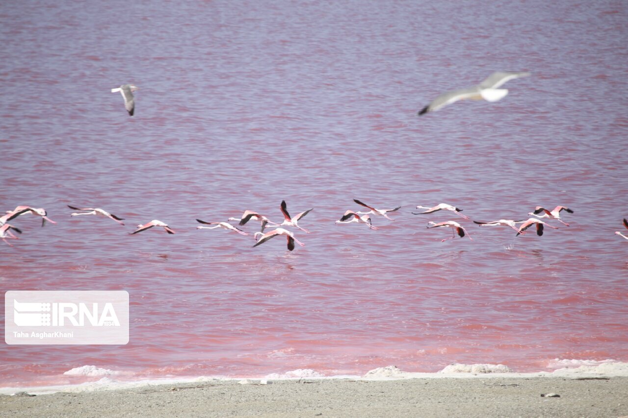 کاهش ۴۲ درصدی حجم آب دریاچه ارومیه در سال آبی گذشته