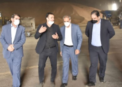 ذرت های آلوده در بندر امام خمینی (ره) تا پایان سال تعیین تکیف می شوند