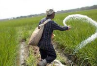 نرخ کود کشاورزی برای مصرف کننده تغییری نخواهد کرد