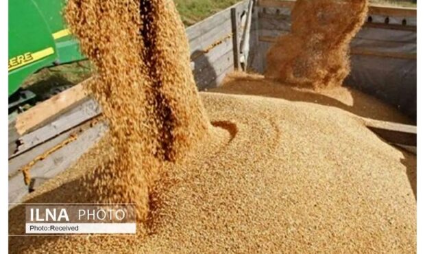 مشاور وزیر جهاد کشاورزی در گفت‌وگو با ایلنا:وزارت نفت نتوانست ارز واردات کالاهای اساسی را بپردازد/ ٢٠ فروند کشتی منتظر تخلیه هستند