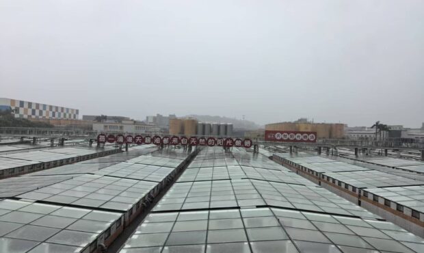 از سنت ۴۰۰ ساله تا کارخانه هوشمند؛ روایت جهانی شدن یک بطری سس سویا