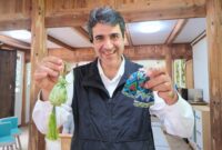پژواک جهانی «لانگ‌ده»: رمز «حیات» میراث فرهنگی به روایت خبرنگار ایرانی