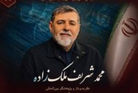 ملک‌زاده: گردشگری ایران با محدودیت پرواز متوقف نمی‌شود