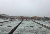 از سنت ۴۰۰ ساله تا کارخانه هوشمند؛ روایت جهانی شدن یک بطری سس سویا