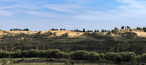 تبدیل کویر به فضای سبز؛ تجربیات ارزشمند چین در اختیار کشورهای مختلف جهان