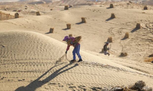 مدیریت بیابان‌زایی در چین؛ از کمربندهای زیست‌محیطی تا تولید انرژی پاک